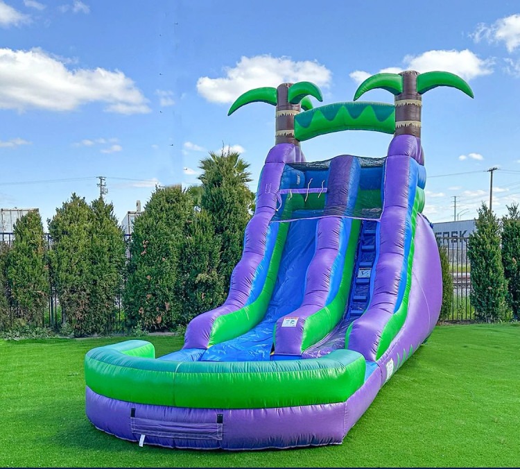 16' Purple/Green Tropical Water Slide