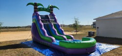 20250419 164517 1747182988 16' Purple/Green Tropical Single Lane Water Slide